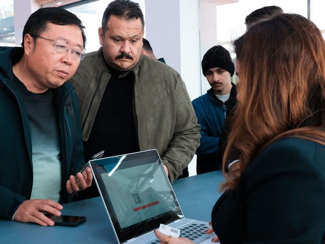 Chinese Investor